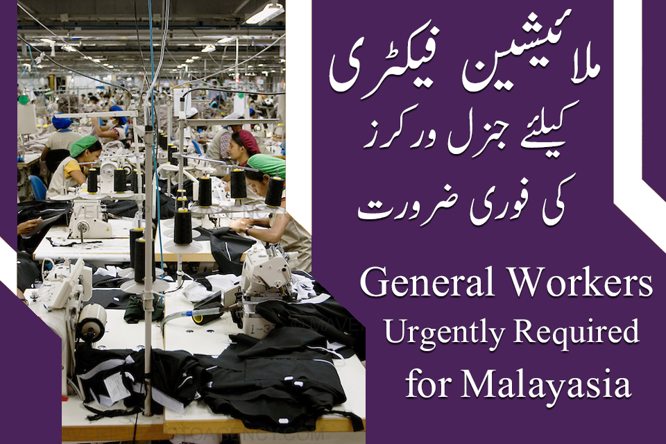 Malaysia factory general workers jobs