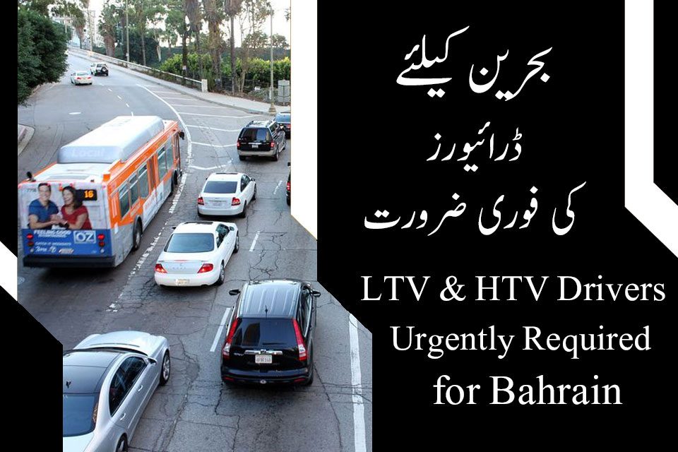 Bahrain LTV and HTV drivers jobs