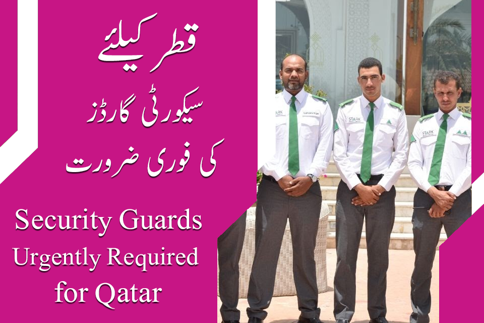 Qatar Stark Security Services Jobs