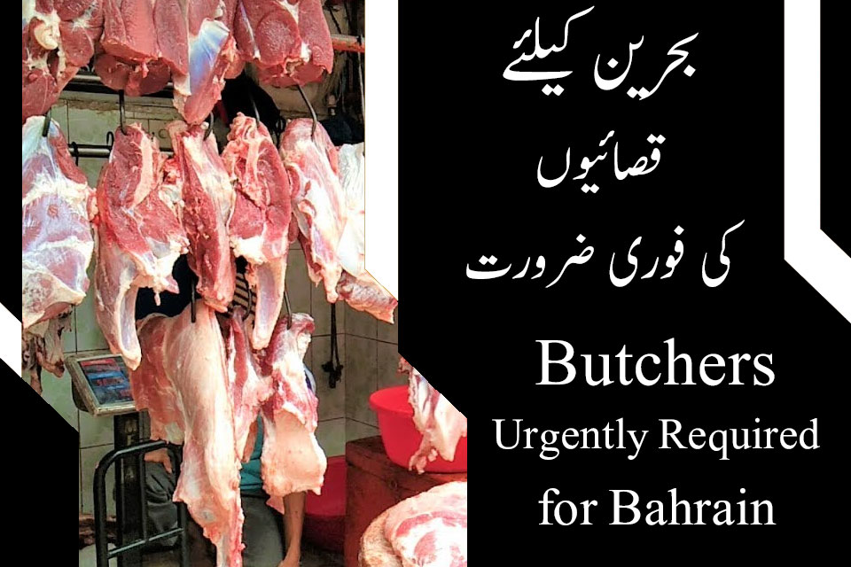 Butchers Jobs in Bahrain