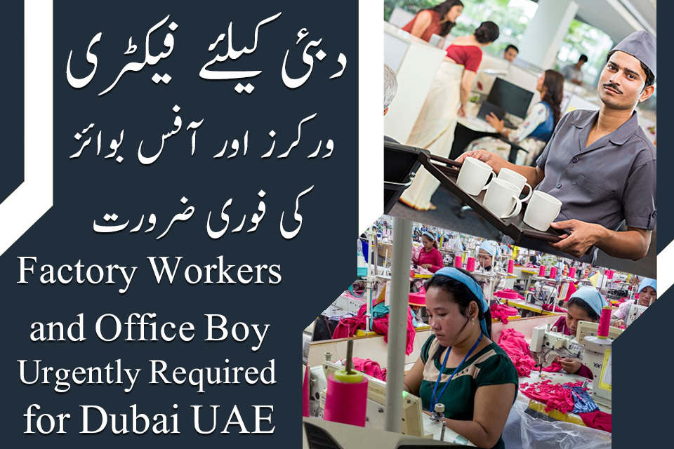 Dubai Factory Worker and Office Boy Jobs