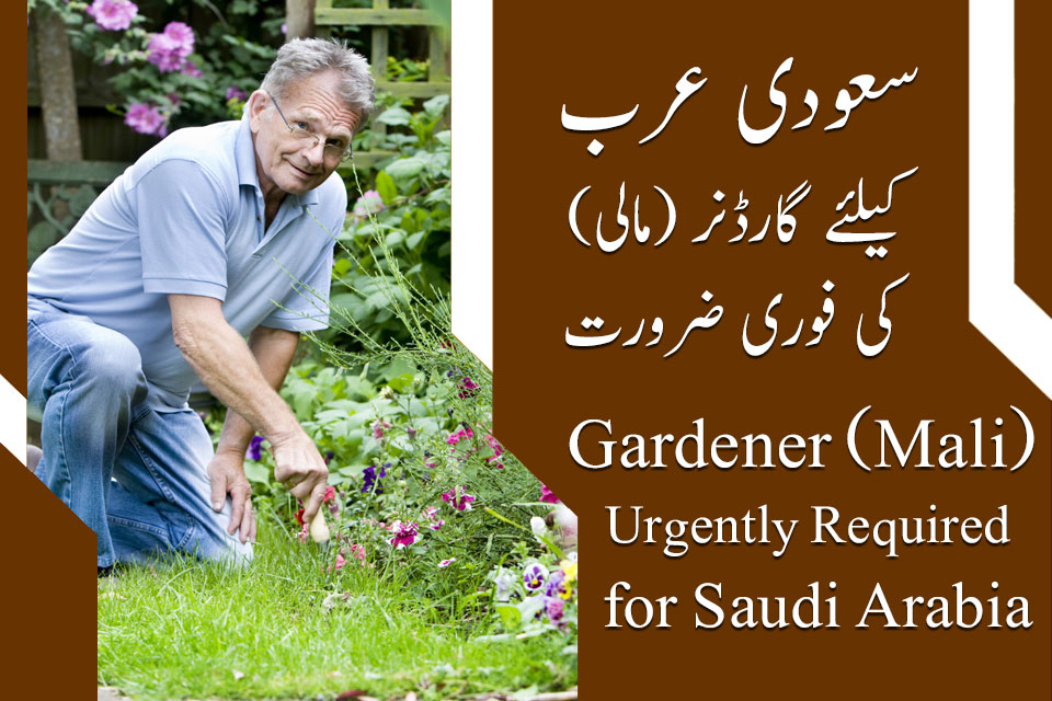 Gardeners Jobs in Saudi Arabia