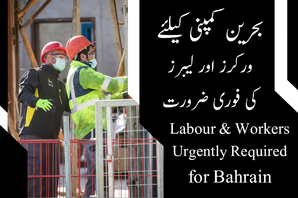 Bahrain Capital Reef Construction Company Jobs