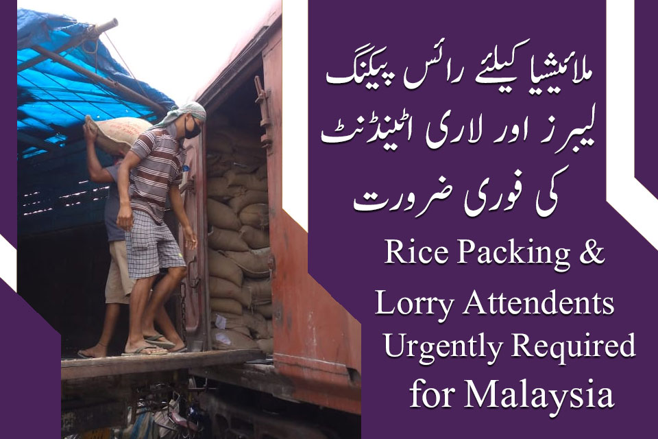 Malaysia Rice Packing and Lorry Attendants Jobs