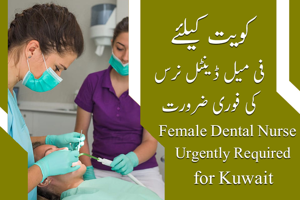 Kuwait Female Dental Nurse Jobs